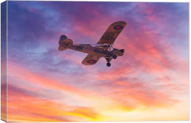 WW2 Auster aeroplane  Canvas Print by Images of Devon