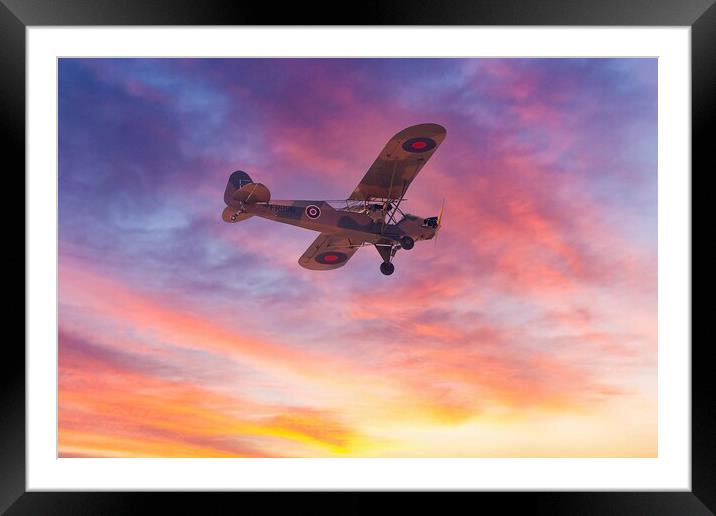 WW2 Auster aeroplane  Framed Mounted Print by Images of Devon