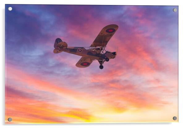WW2 Auster aeroplane  Acrylic by Images of Devon