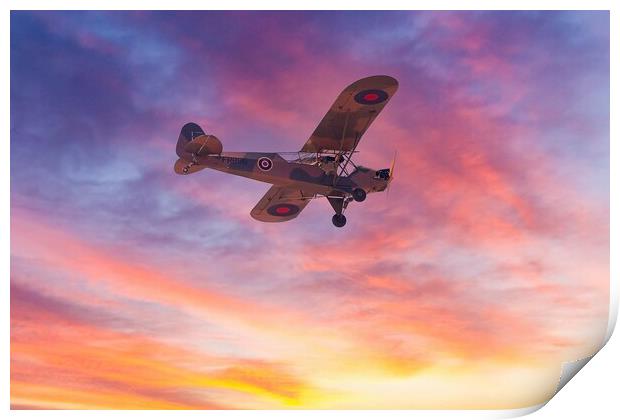 WW2 Auster aeroplane  Print by Images of Devon