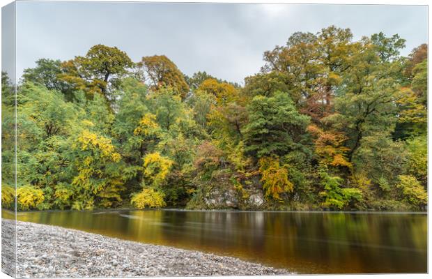 Autumnal colours along the River Wharfe Canvas Print by Jason Wells