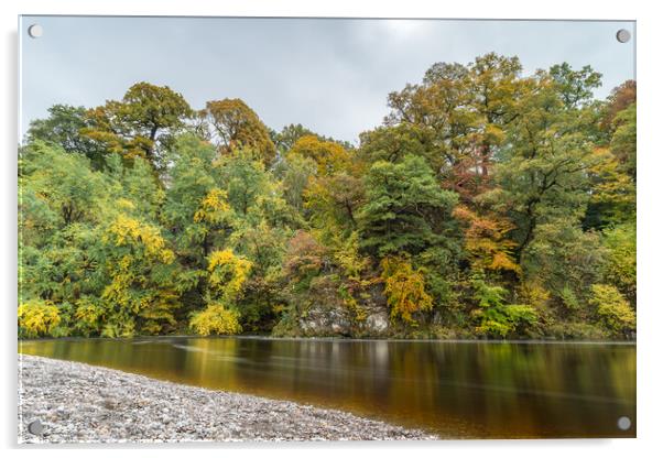 Autumnal colours along the River Wharfe Acrylic by Jason Wells