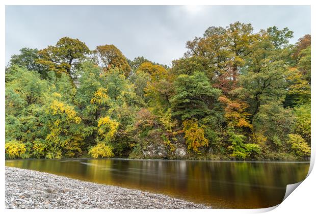 Autumnal colours along the River Wharfe Print by Jason Wells