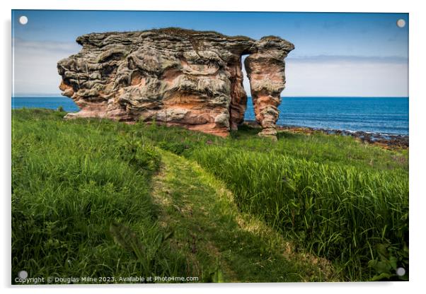 Buddo Rock, near St Andrews Acrylic by Douglas Milne