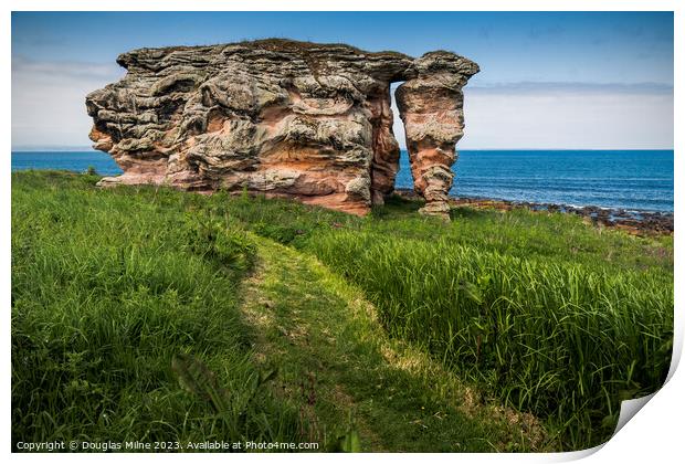 Buddo Rock, near St Andrews Print by Douglas Milne