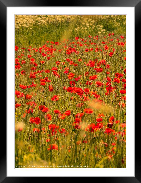 poppies Framed Mounted Print by Simon Johnson
