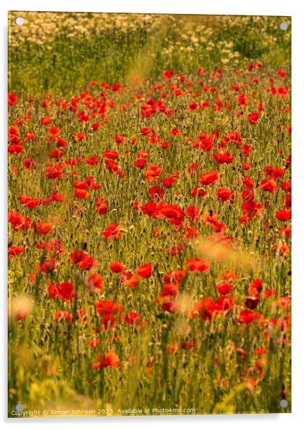 poppies Acrylic by Simon Johnson