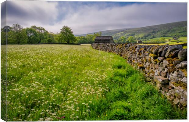 Muker Wildflower Meadows Canvas Print by Tim Hill