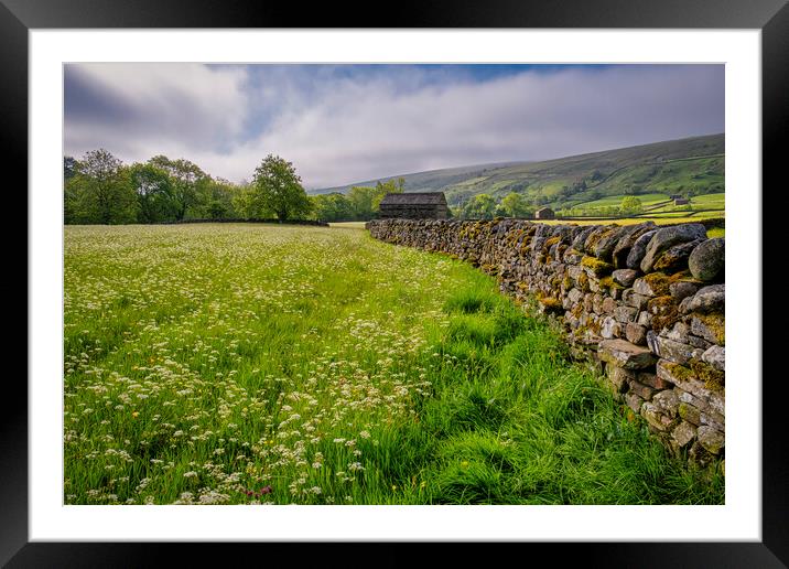Muker Wildflower Meadows Framed Mounted Print by Tim Hill