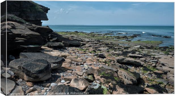 Serene Burghead Seascape Canvas Print by Tom McPherson