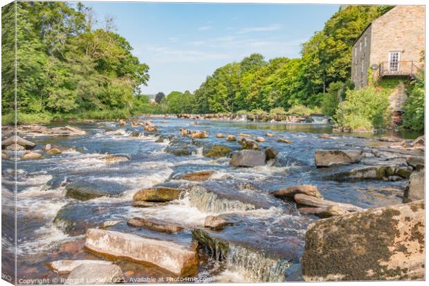 The River Tees at Demesnes Mill, Barnard Castle Canvas Print by Richard Laidler