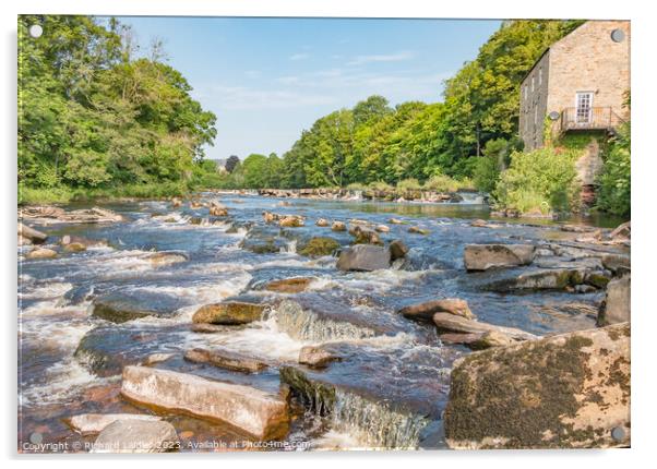 The River Tees at Demesnes Mill, Barnard Castle Acrylic by Richard Laidler