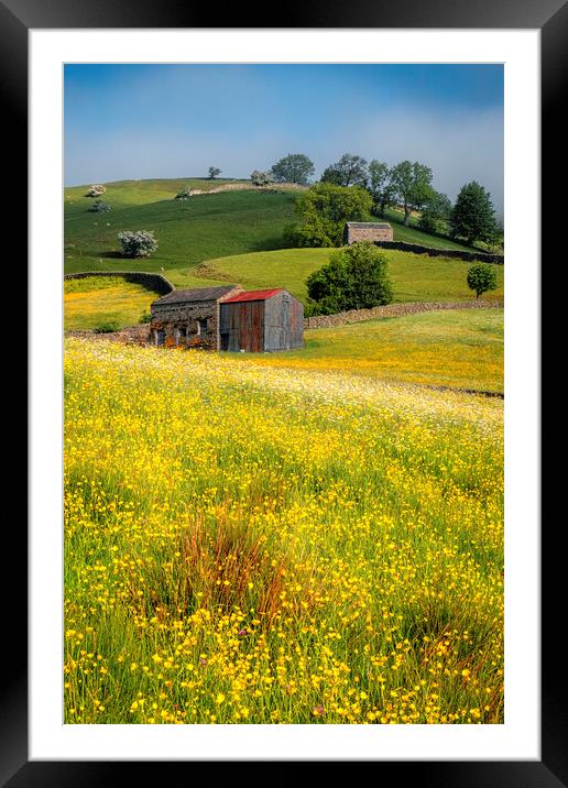 Muker Buttercup and Wildflower Meadows Framed Mounted Print by Tim Hill