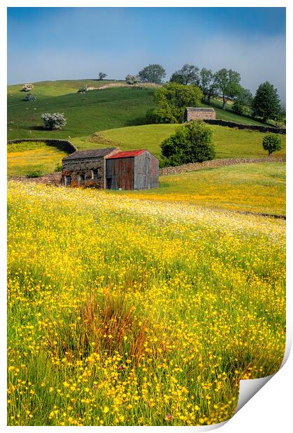 Muker Buttercup and Wildflower Meadows Print by Tim Hill
