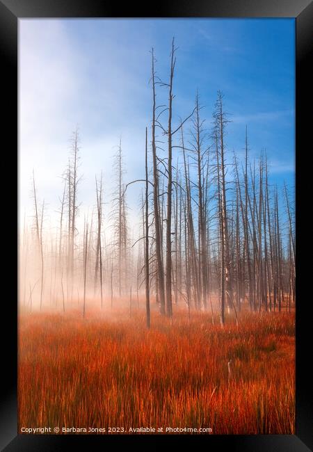 Misty Sunrise Yellowstone NP, USA. Framed Print by Barbara Jones