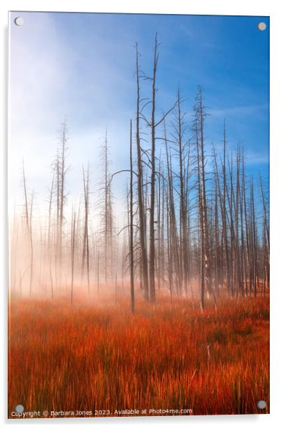 Misty Sunrise Yellowstone NP, USA. Acrylic by Barbara Jones