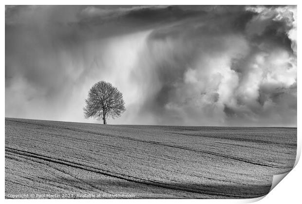 Lone Tree Amongst the Drama Print by Paul Martin