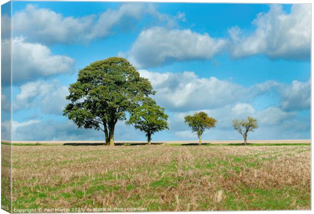 The Family Tree Canvas Print by Paul Martin