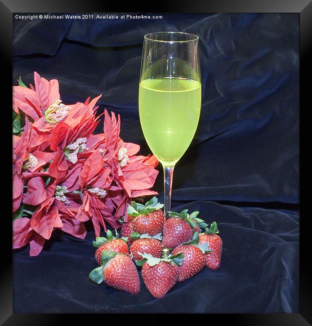 Strawberries and Wine Framed Print by Michael Waters Photography