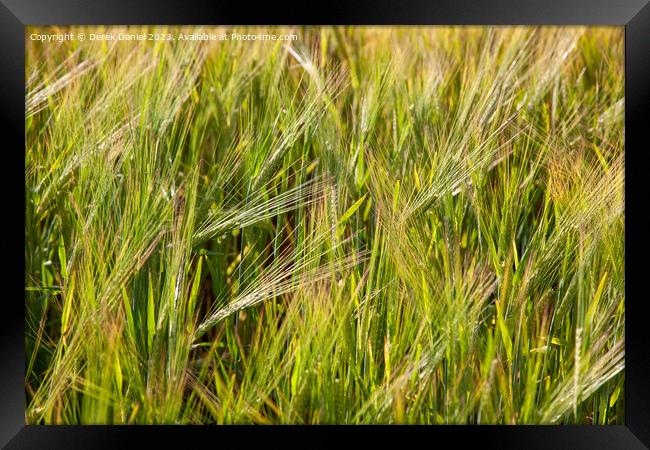 An Abstract Image of Wheat Blowing in the Wind Framed Print by Derek Daniel