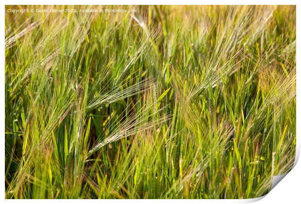 An Abstract Image of Wheat Blowing in the Wind Print by Derek Daniel