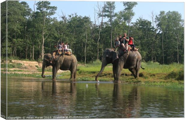 Elephant Ride Adventure Canvas Print by Aidan Moran