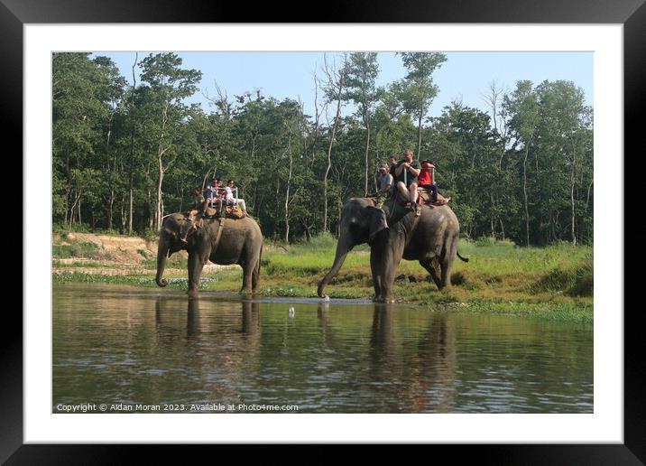 Elephant Ride Adventure Framed Mounted Print by Aidan Moran