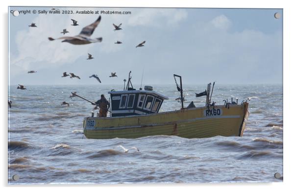 Gulls accompanying Boat home Acrylic by Sally Wallis