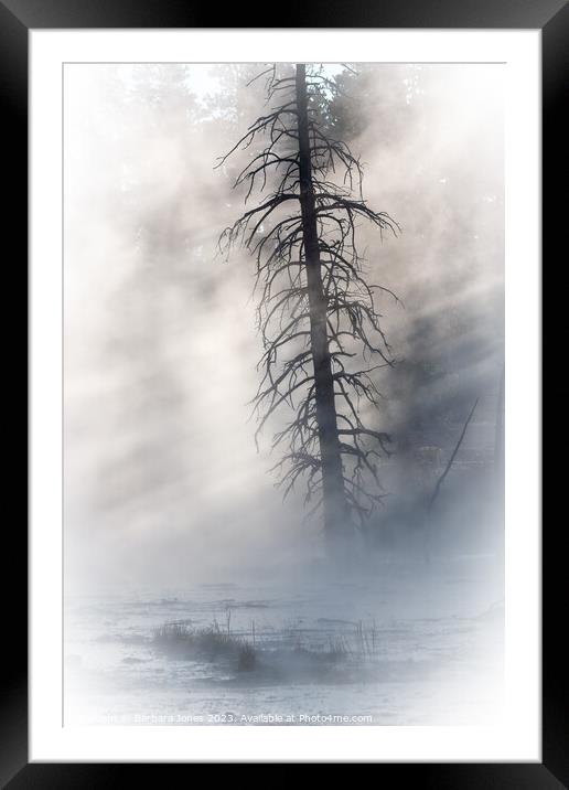Lone Tree, Fountain Paintpots Yellowstone USA Framed Mounted Print by Barbara Jones
