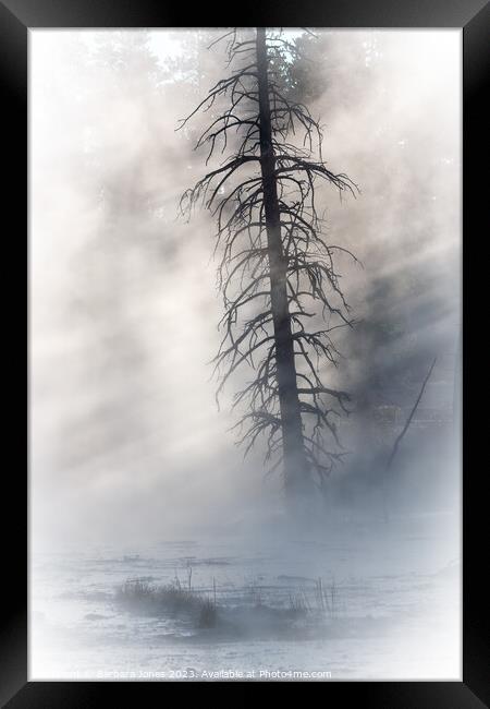 Lone Tree, Fountain Paintpots Yellowstone USA Framed Print by Barbara Jones