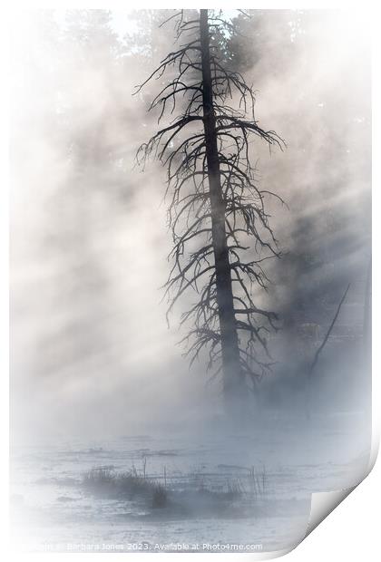 Lone Tree, Fountain Paintpots Yellowstone USA Print by Barbara Jones
