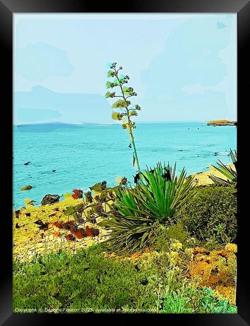 Aloe Plant on Santo Tomas Shore in Menorca Framed Print by Deanne Flouton