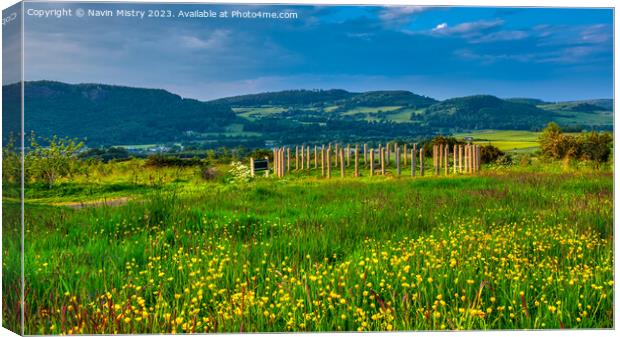 A view of Corsiehill Perth Canvas Print by Navin Mistry