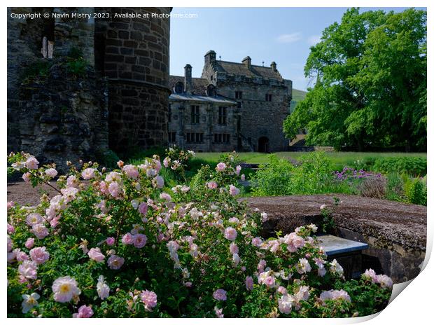 Falkland Palace Gardens,  Print by Navin Mistry