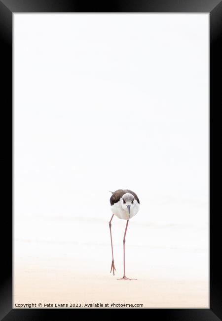 Abstract nonphotoBlack winged Stilt Framed Print by Pete Evans