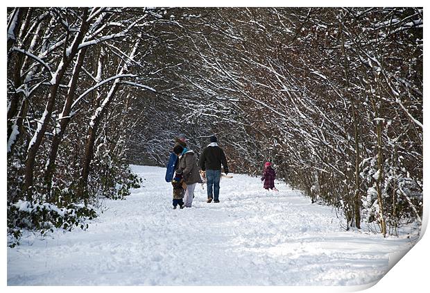 A walk in the snow Print by Steve Purnell