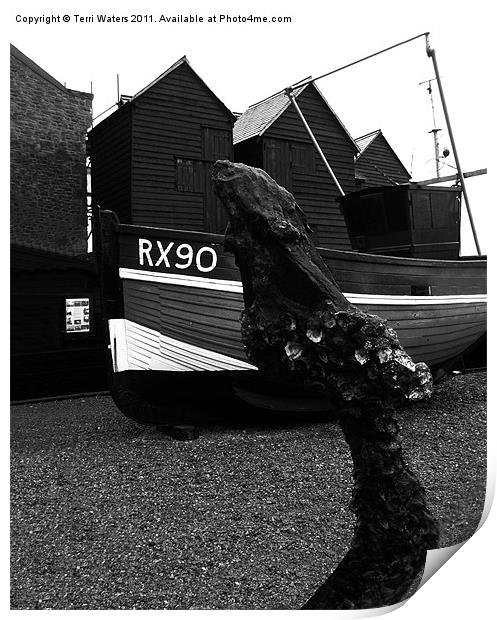 Hastings in Black & White Print by Terri Waters