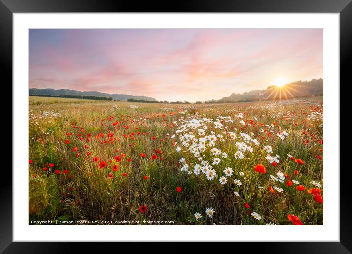 Wild flowers at sunrise with pink sky landscape Framed Mounted Print by Simon Bratt LRPS
