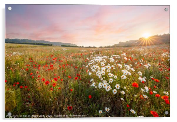 Wild flowers at sunrise with pink sky landscape Acrylic by Simon Bratt LRPS