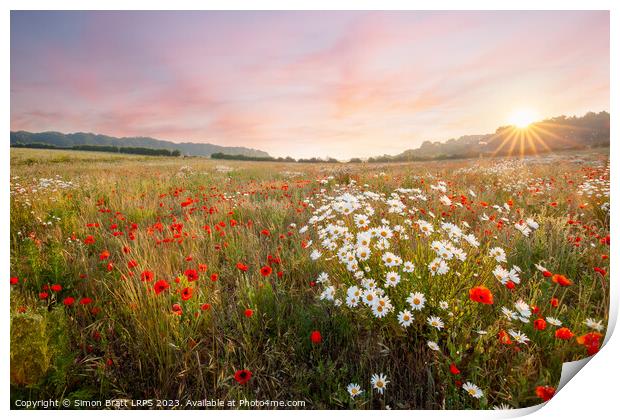 Wild flowers at sunrise with pink sky landscape Print by Simon Bratt LRPS