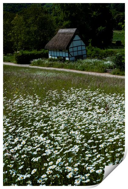 Cottage Print by Tom Lloyd