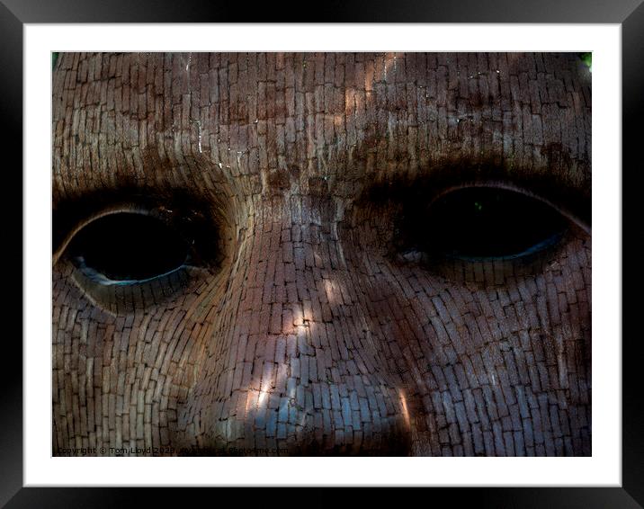 Eyes Framed Mounted Print by Tom Lloyd