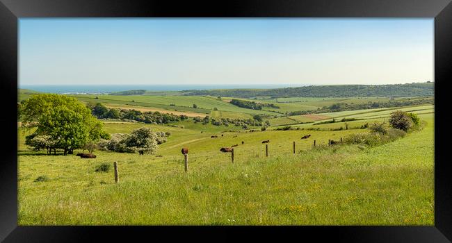 South Downs Splendour Framed Print by Malcolm McHugh