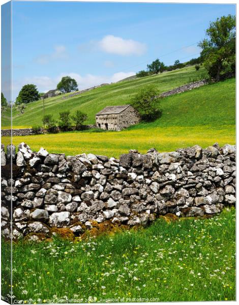 Barn and Buttercup Meadows in Wharfedale Canvas Print by Mark Sunderland