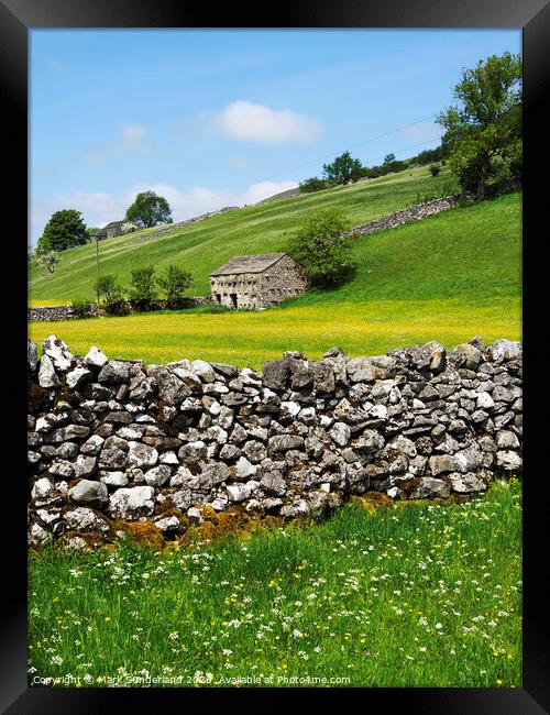 Barn and Buttercup Meadows in Wharfedale Framed Print by Mark Sunderland