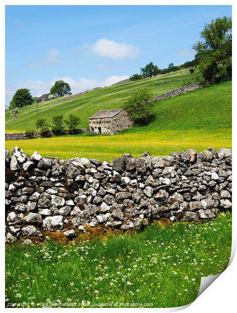 Barn and Buttercup Meadows in Wharfedale Print by Mark Sunderland
