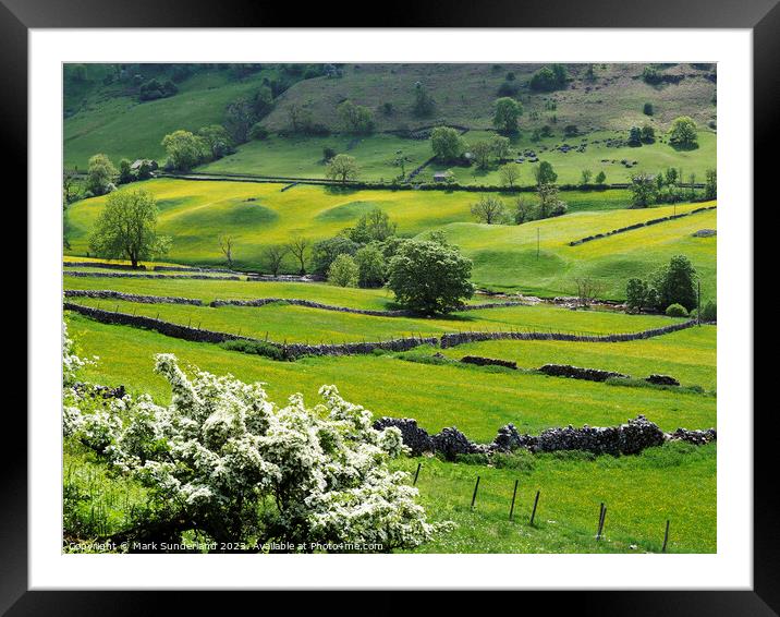 Buttercup Meadows in Langstrothdale Framed Mounted Print by Mark Sunderland