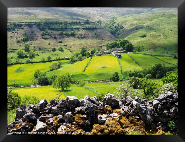Buttercup Meadows in Upper Wharfedale Framed Print by Mark Sunderland