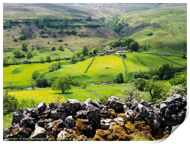 Buttercup Meadows in Upper Wharfedale Print by Mark Sunderland