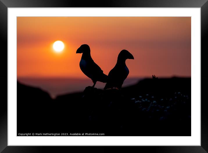 Sunset Puffins Framed Mounted Print by Mark Hetherington